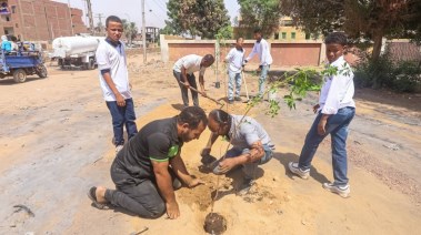 محافظة أسوان 