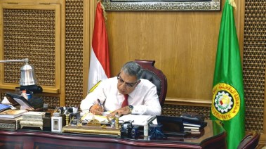 محافظ الدقهلية 