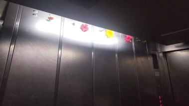 ورد وريحان بداخل أسانسير مستشفى 