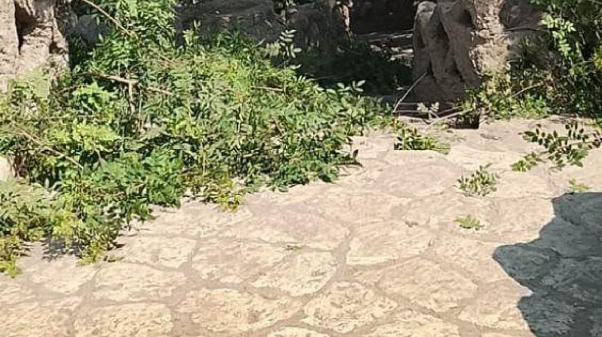 حديقة الأسماك بالزمالك