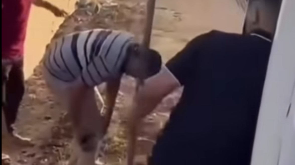 جانب من المشاجرة 