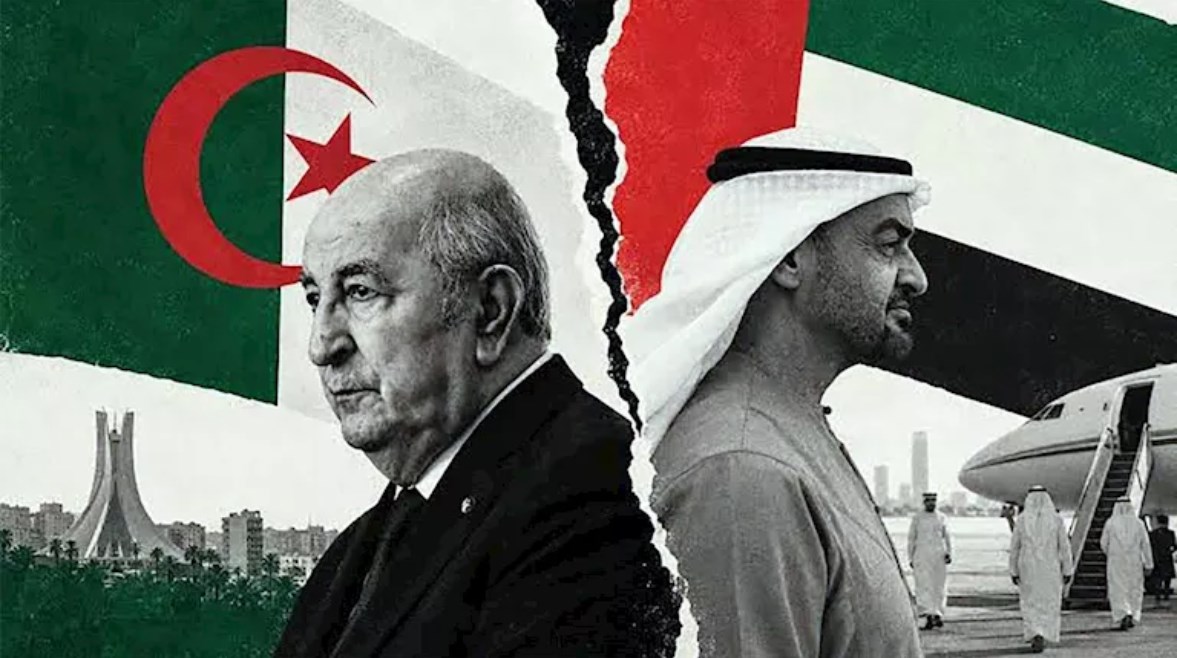 محمد بن زايد وعبد المجيد تبون