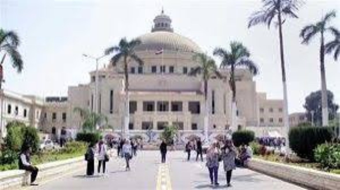 الدراسة في الجامعات 