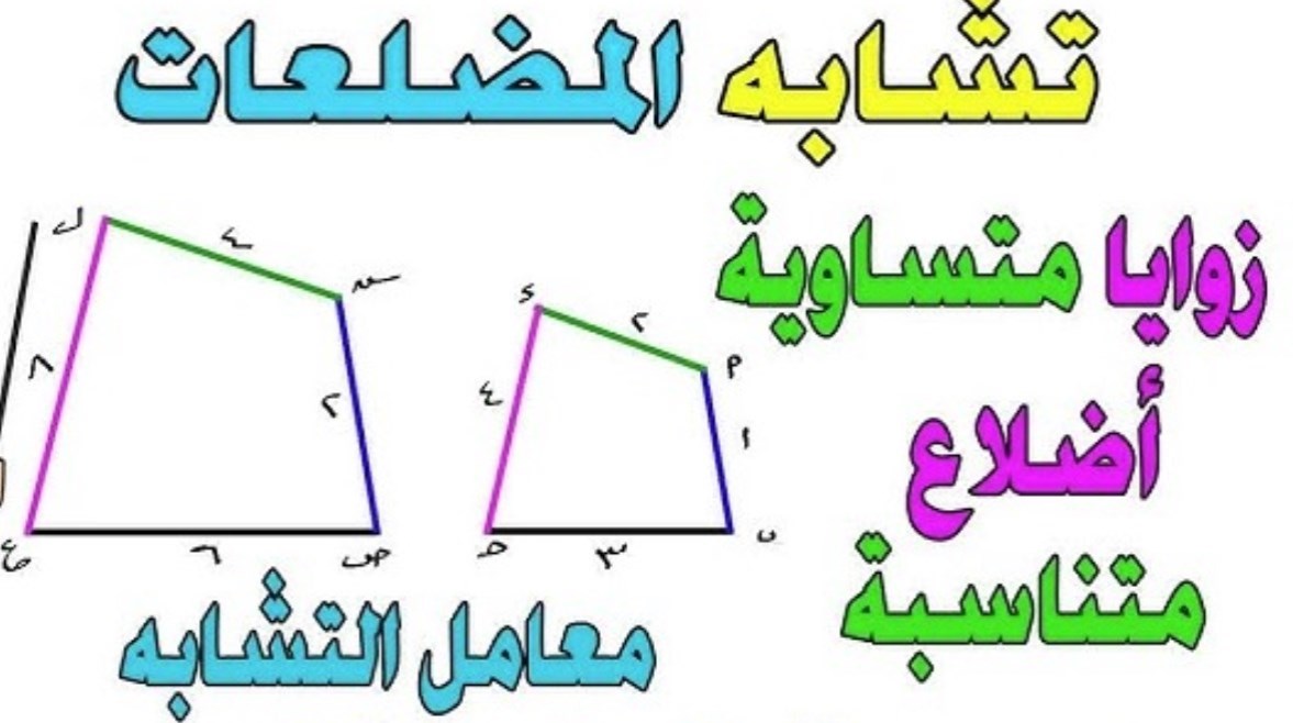  درس تشابه المضلعات للصف الأول الثانوي 2026-2027