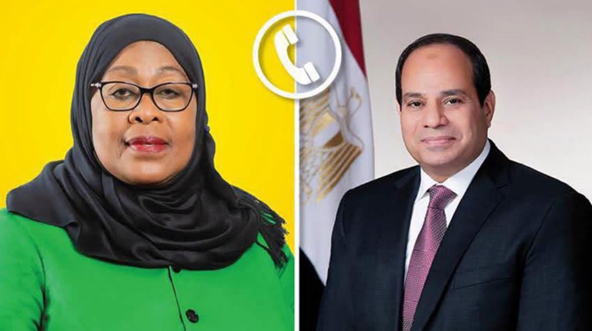  الرئيس عبدالفتاح السيسي والرئيسة سامية صلوحو حسن