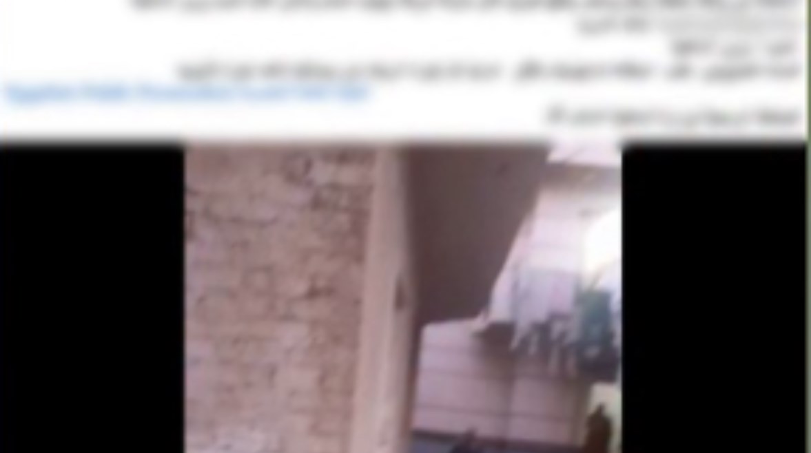 المنشور المتداول 