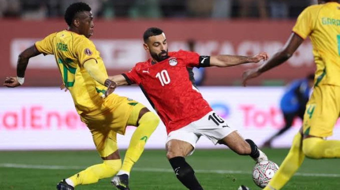 مصر وجنوب أفريقيا