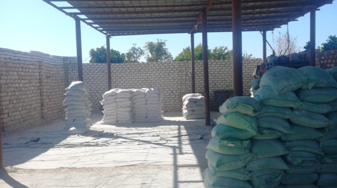 صورة أرشفية