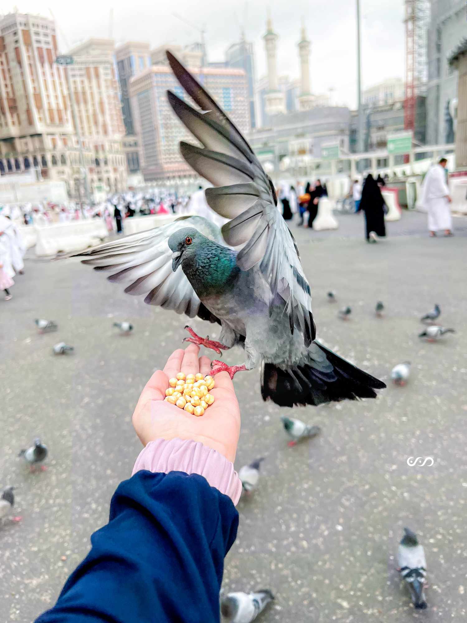 صاحبة صورة