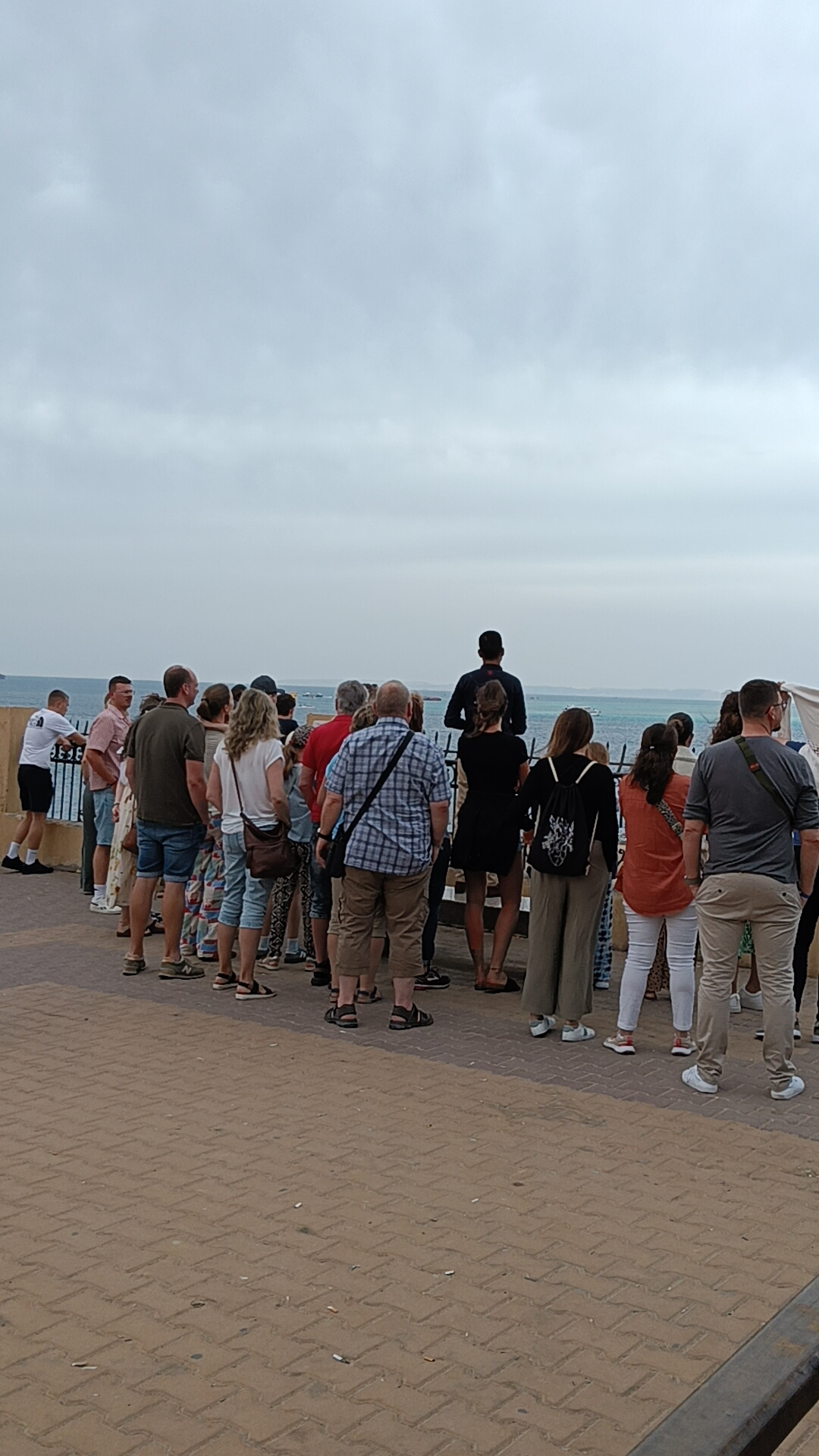 1000141475 1000141475