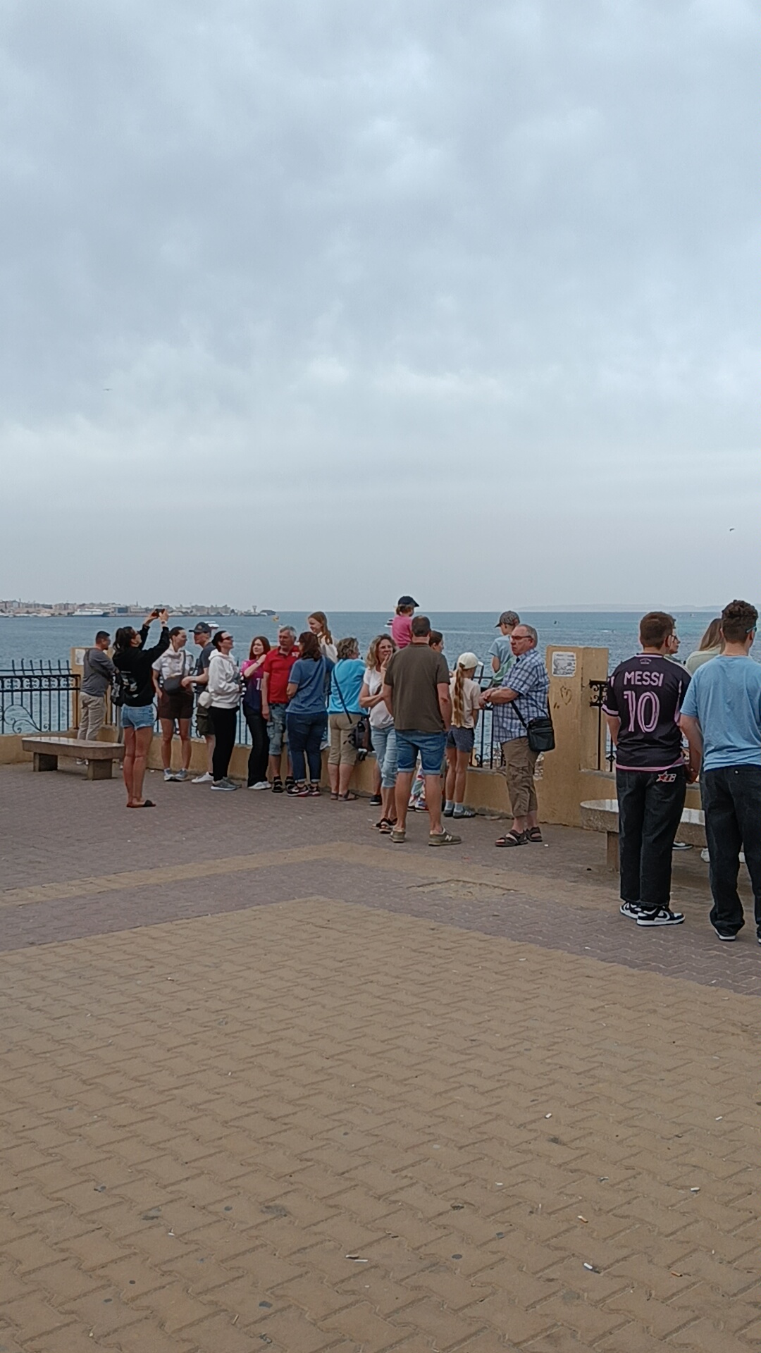 1000141486 1000141486