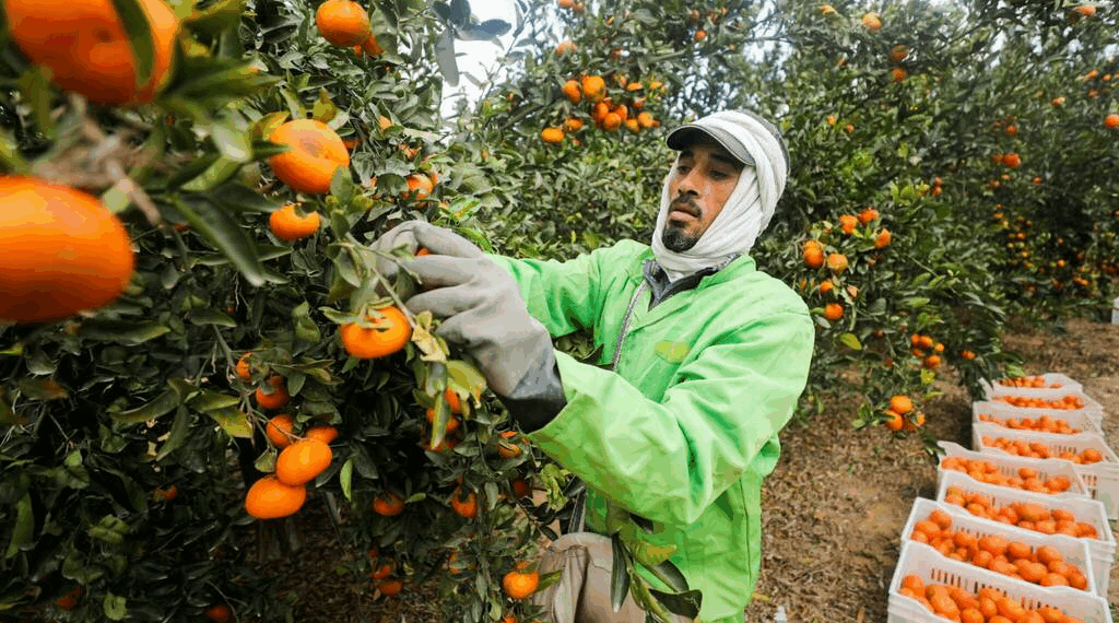 1737122598_710_1638826_untitled1-1024x570 1737122598_710_1638826_untitled1-1024x570