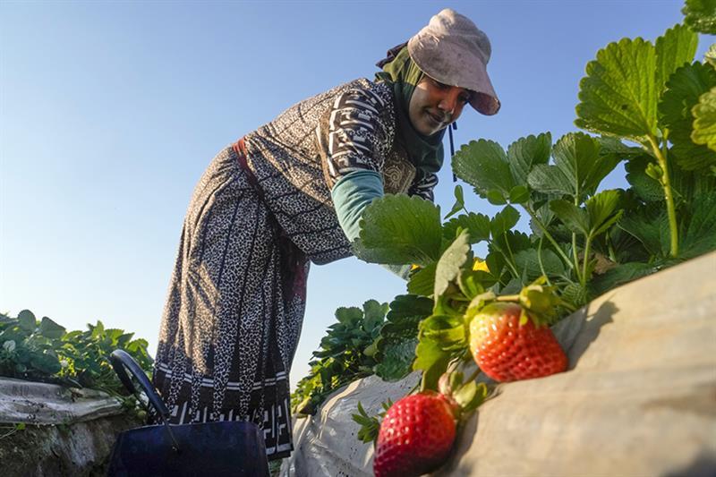 41_2023-638275480162423047-242 41_2023-638275480162423047-242