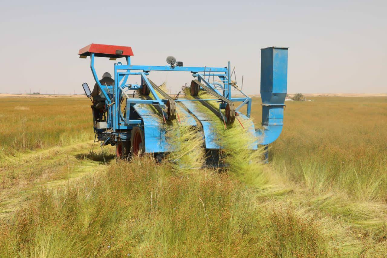 661429071_1254128676_1777_024013