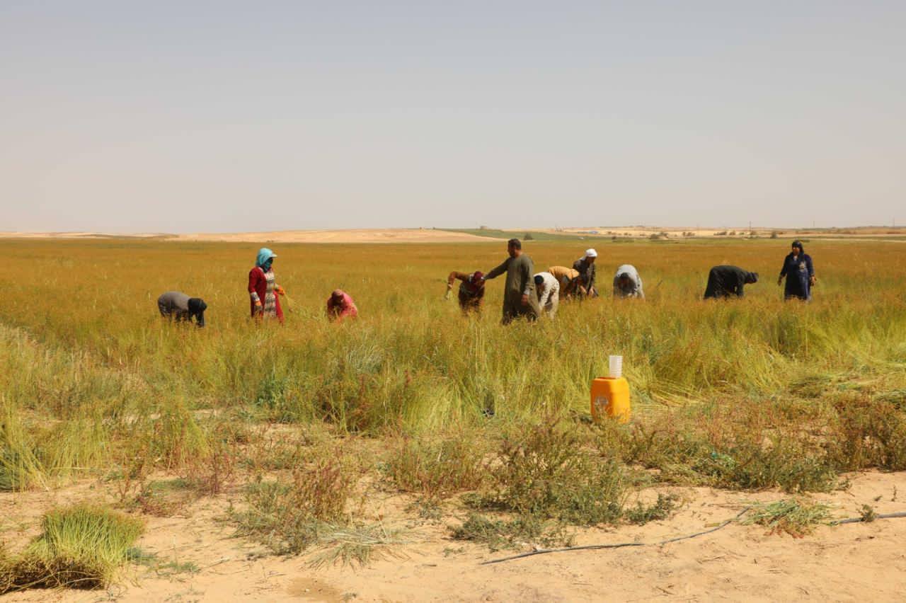 661949940_1254128836_1777_023947