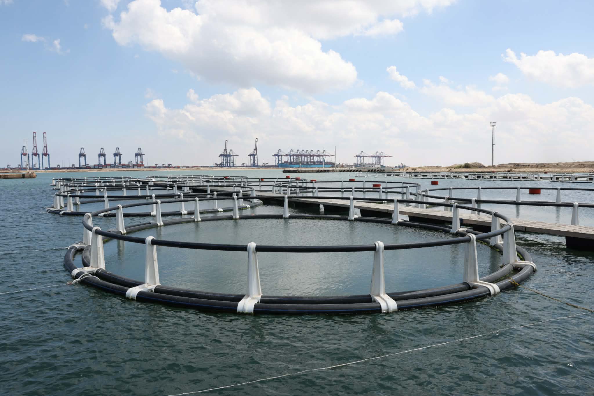 Messenger_creation_C410C576-BA5C-4658-86E6-BA661CD