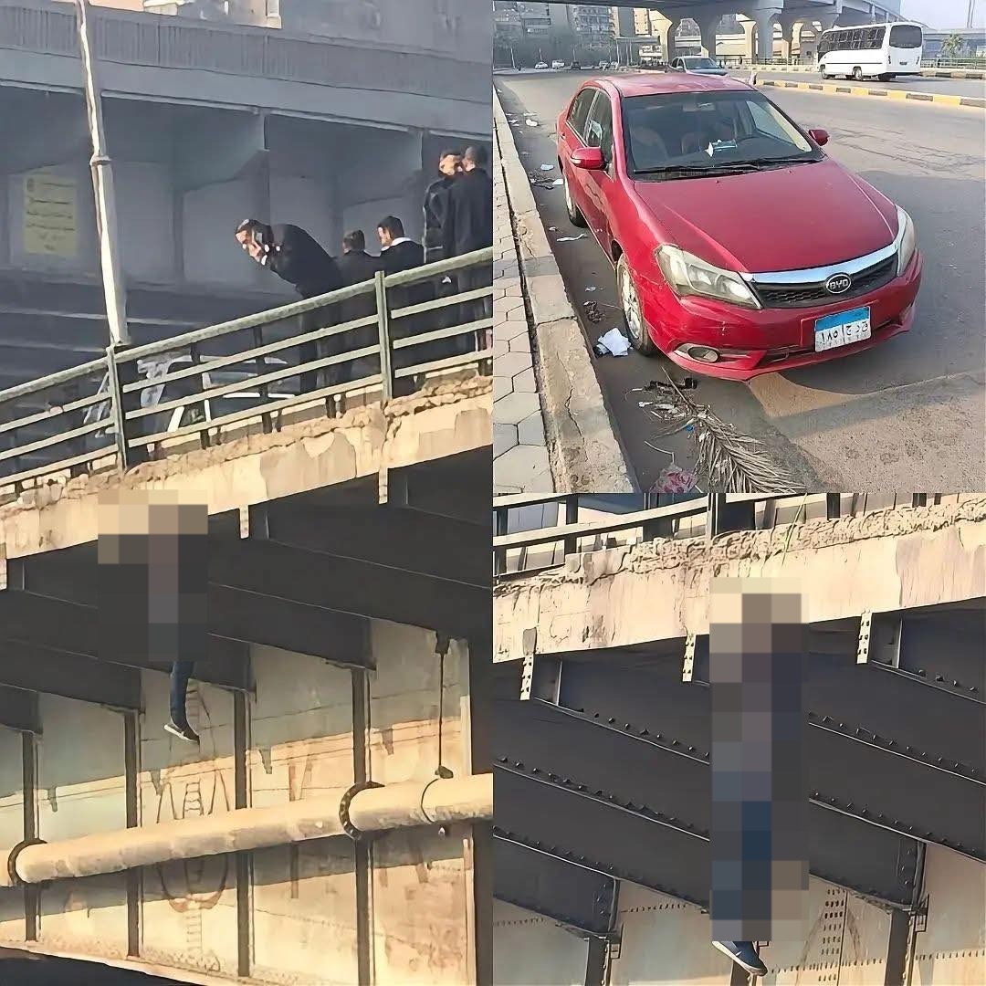 d672487e-4ea5-430b-b92f-fcd603b60d69