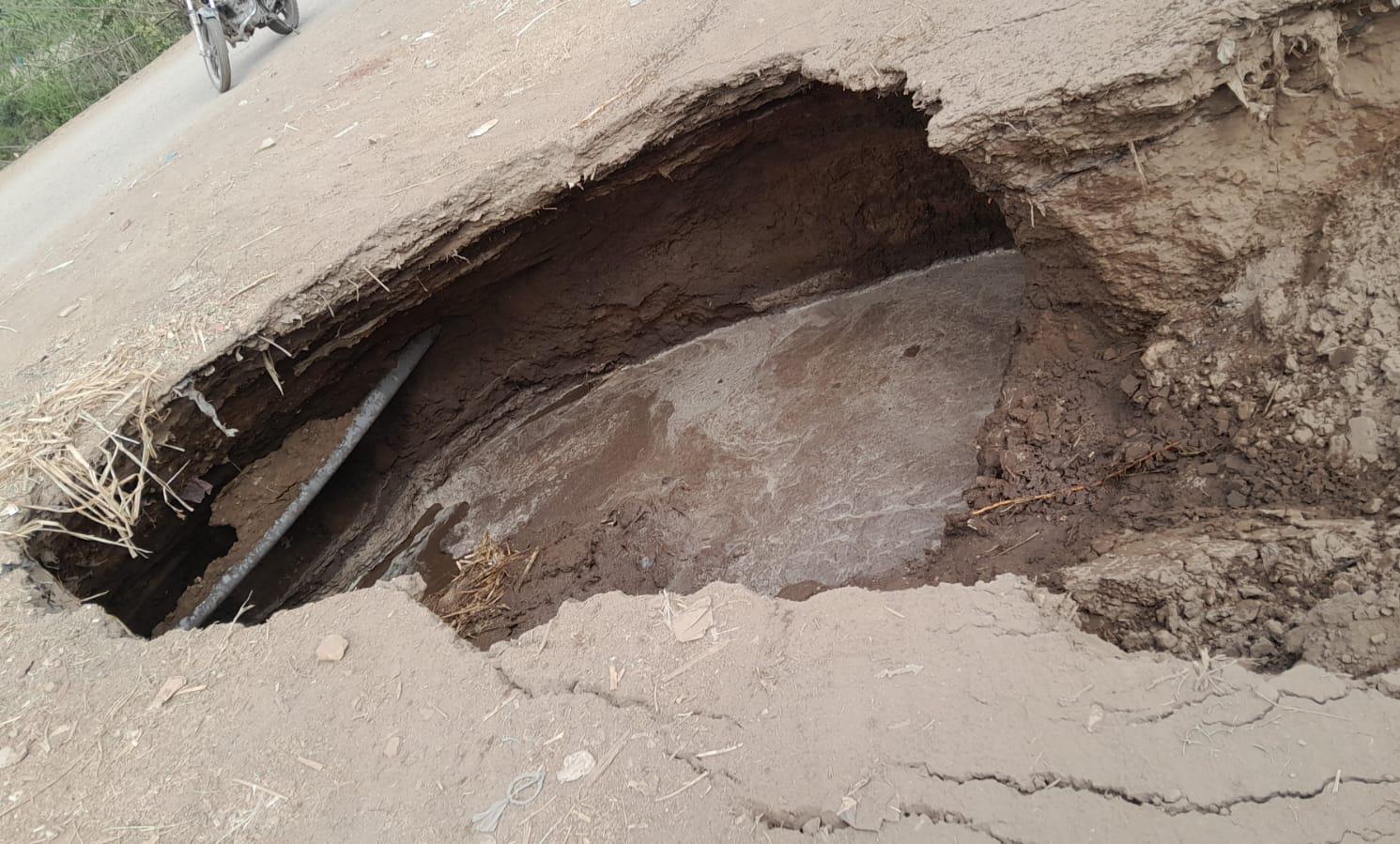 1001733721 1001733721