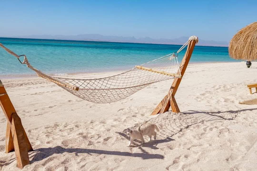 1000150857 1000150857