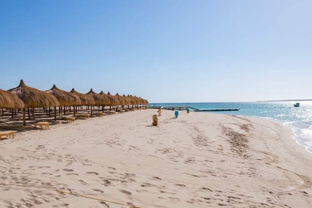 1000150858 1000150858