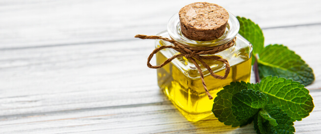 النعناع النعناع