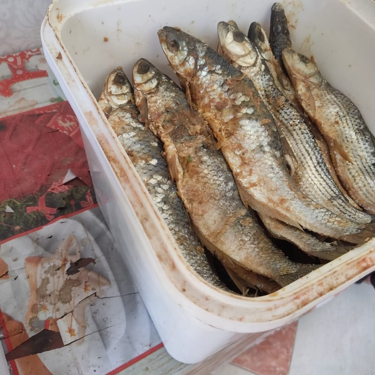 FB_IMG_1775940748722 FB_IMG_1775940748722