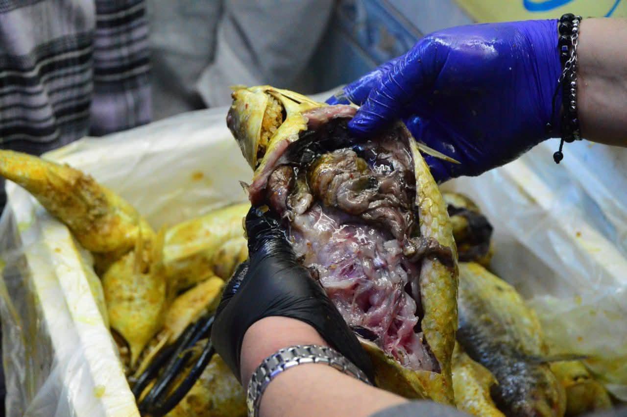 Messenger_creation_F0C21CA3-C8EF-4FE6-A01D-25FC495