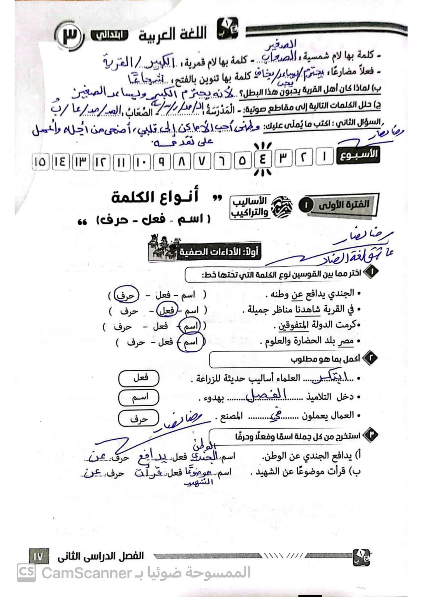 1000934681 1000934681