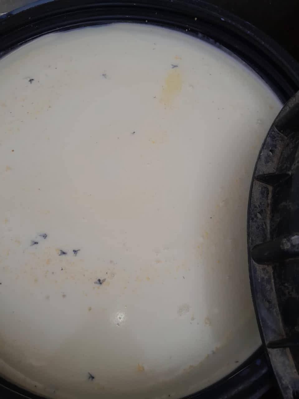 FB_IMG_1776242897194