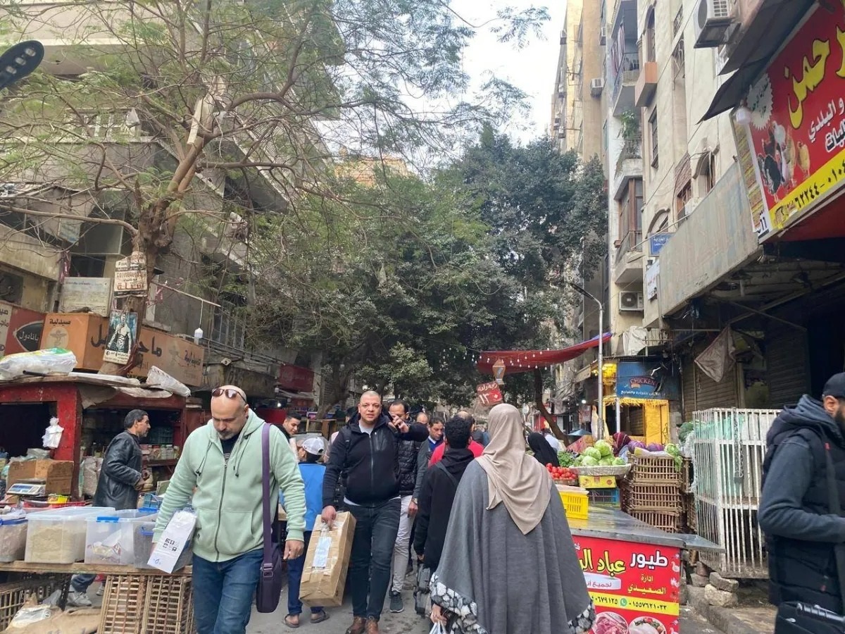 54ca3eb0-0a43-42c4-8d28-5627fd7e85de