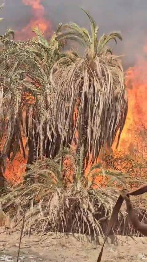 672205084_852256391218011_695458983372530054_n