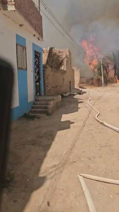 672672679_852256517884665_8668495183485878885_n