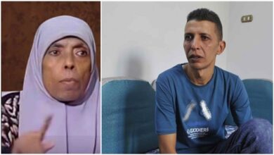 BeFunky-collageمممم-5-390x220