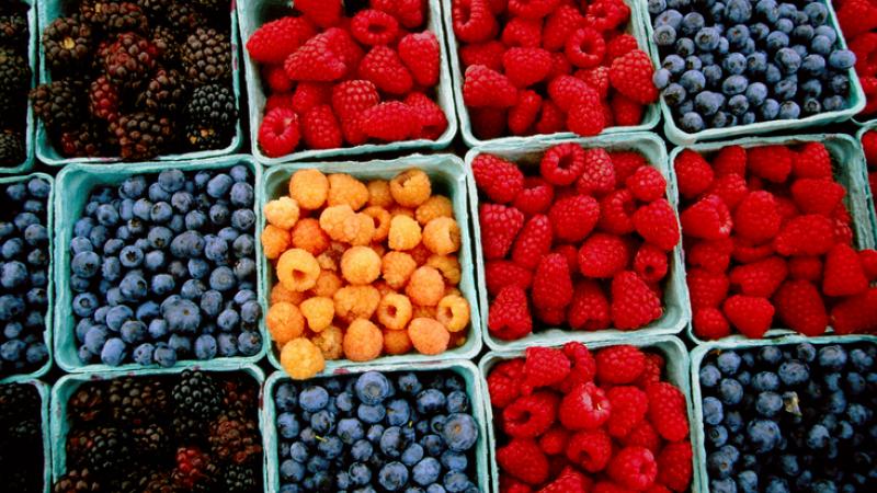 GettyImages-85867490