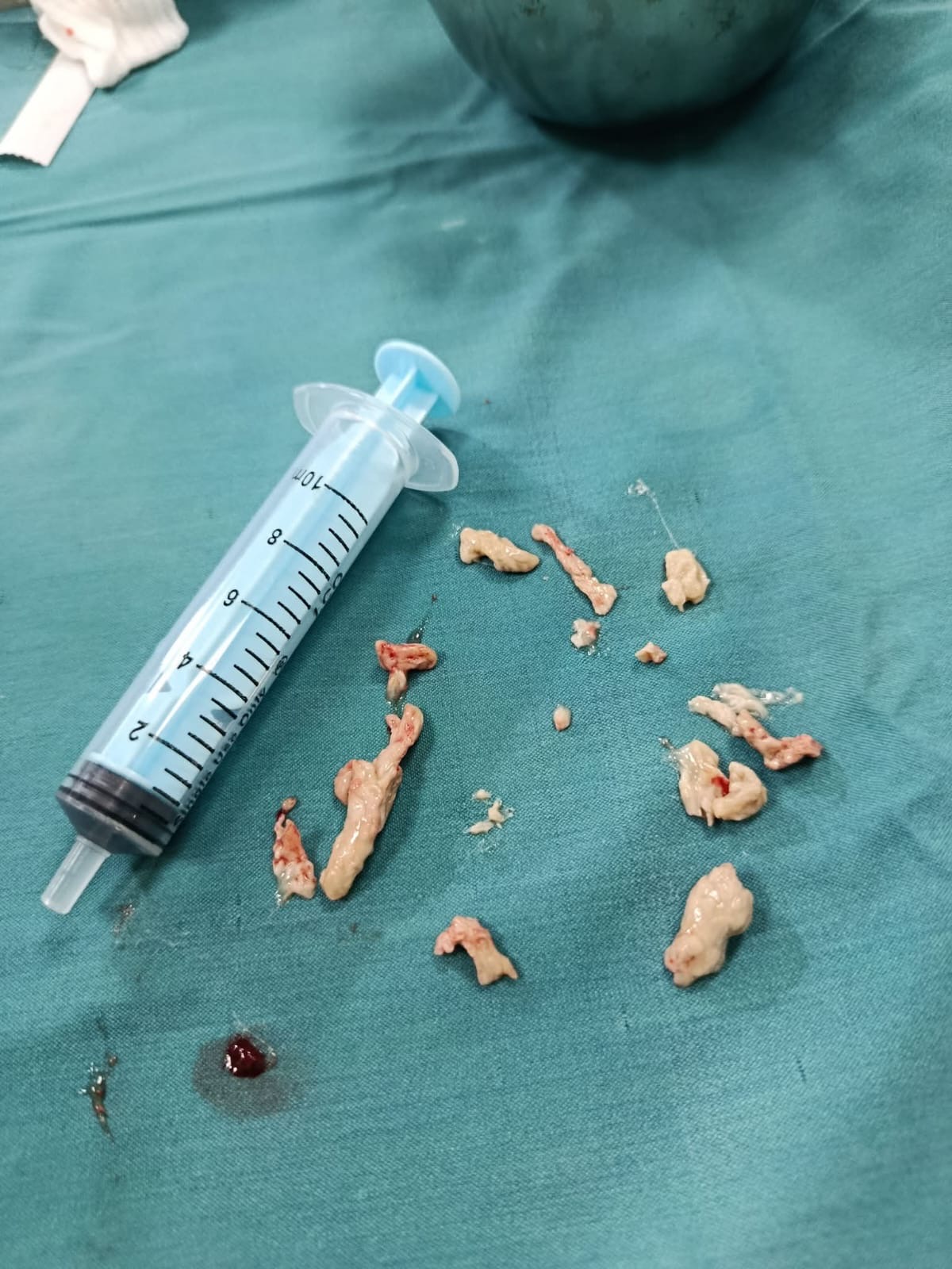 43b35765-0d66-4b5d-b9cf-d4bb0e67c11d