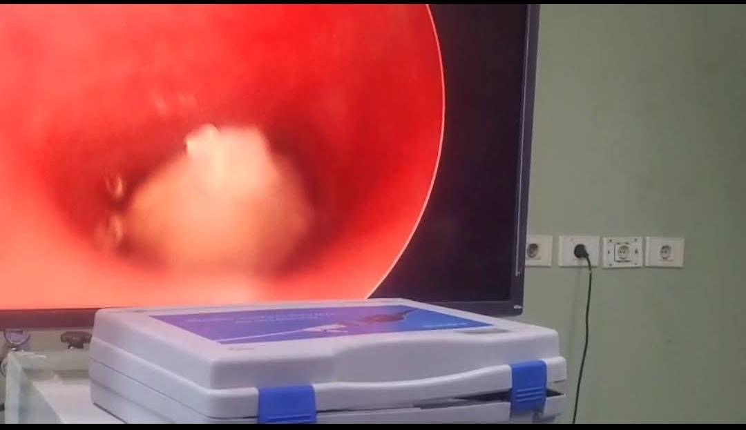 45c474c6-ce10-4bd3-a242-d72bf2c44191