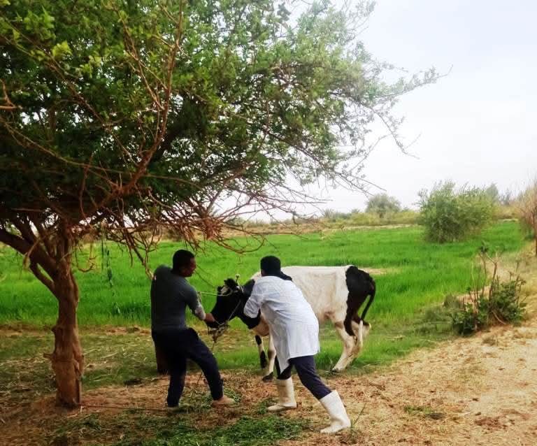 FB_IMG_1776507350405