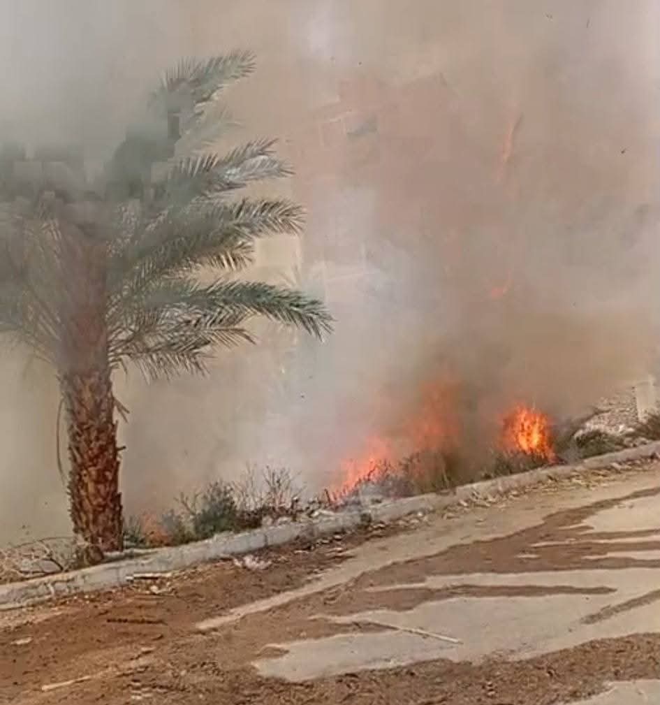 FB_IMG_1776515165266