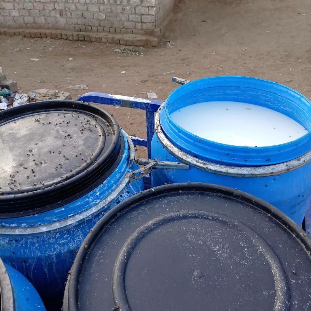 FB_IMG_1776675926142