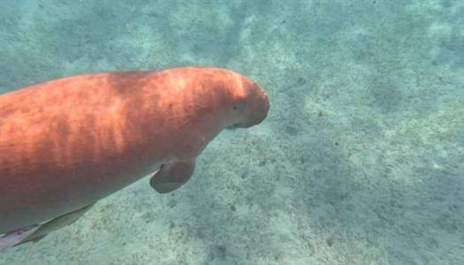 2026_4_22_15_5_47_241