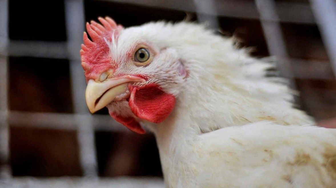 1716149596945320260109125407547