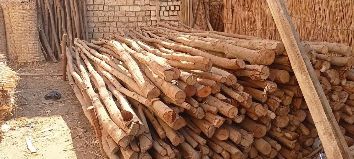 FB_IMG_1777101267513