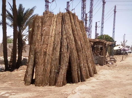 IMG_٢٠٢٦٠٤٢٥_١٠٣٩٥٩