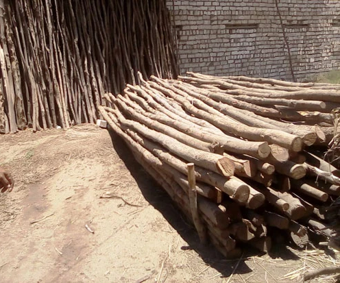 IMG_٢٠٢٦٠٤٢٥_١٠٤٠١٣