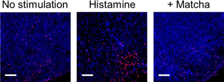 6bd5bcb7-5934-439f-9412-374fa29e3ba5