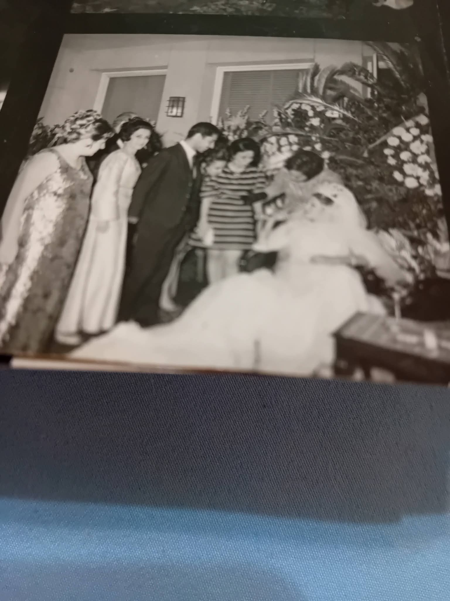 4917565d-3a90-45cc-a476-ce71e6877637