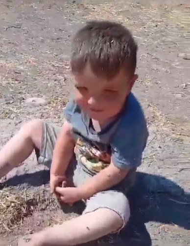 69c479ec-1f61-46ba-8930-dcec0860080b