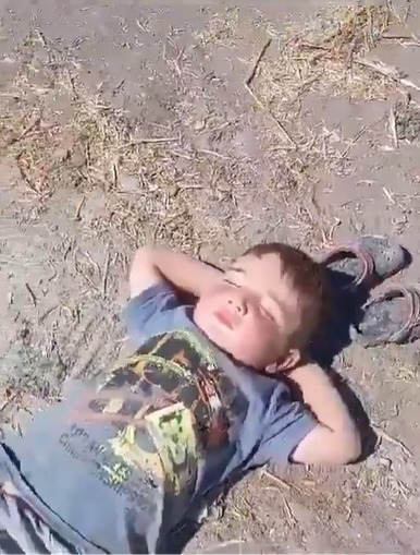 cc114c03-9cd2-4b02-8511-ae6ff79c8bb7