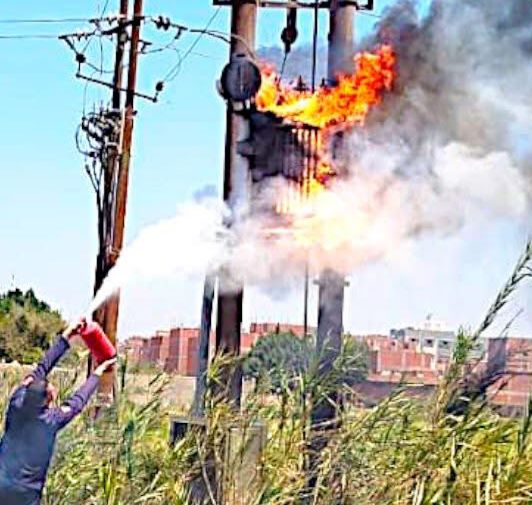 81021dda-303c-4828-85e4-0ae3bb7d7d71