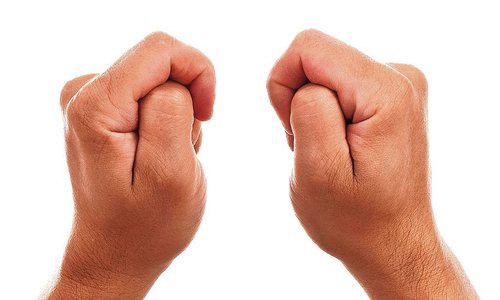 52478228_1000_47_optimized